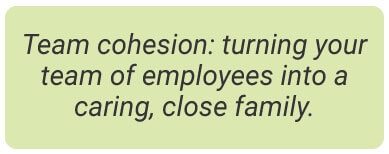 image with text - team cohesion: turning your team of employees (AKA strangers) into a caring, close family.